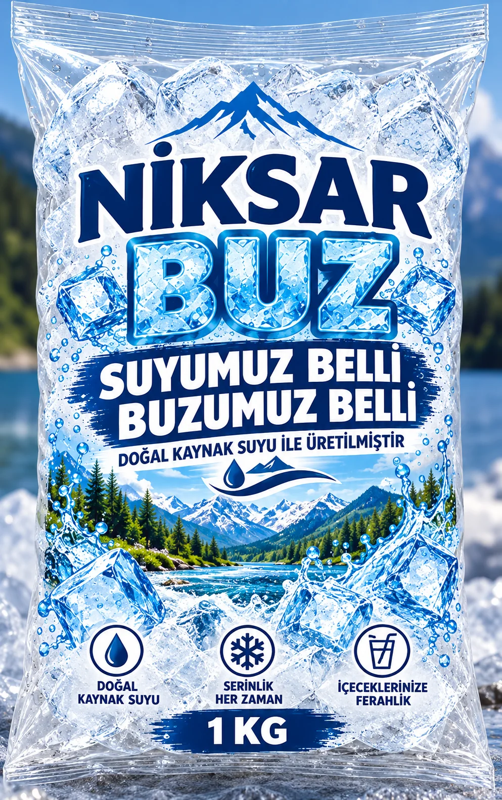 Niksar Buz 1 KG ambalaj tasarımı